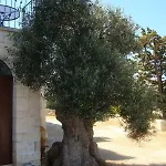 Nyaraló Rocca Giulia Ostuni